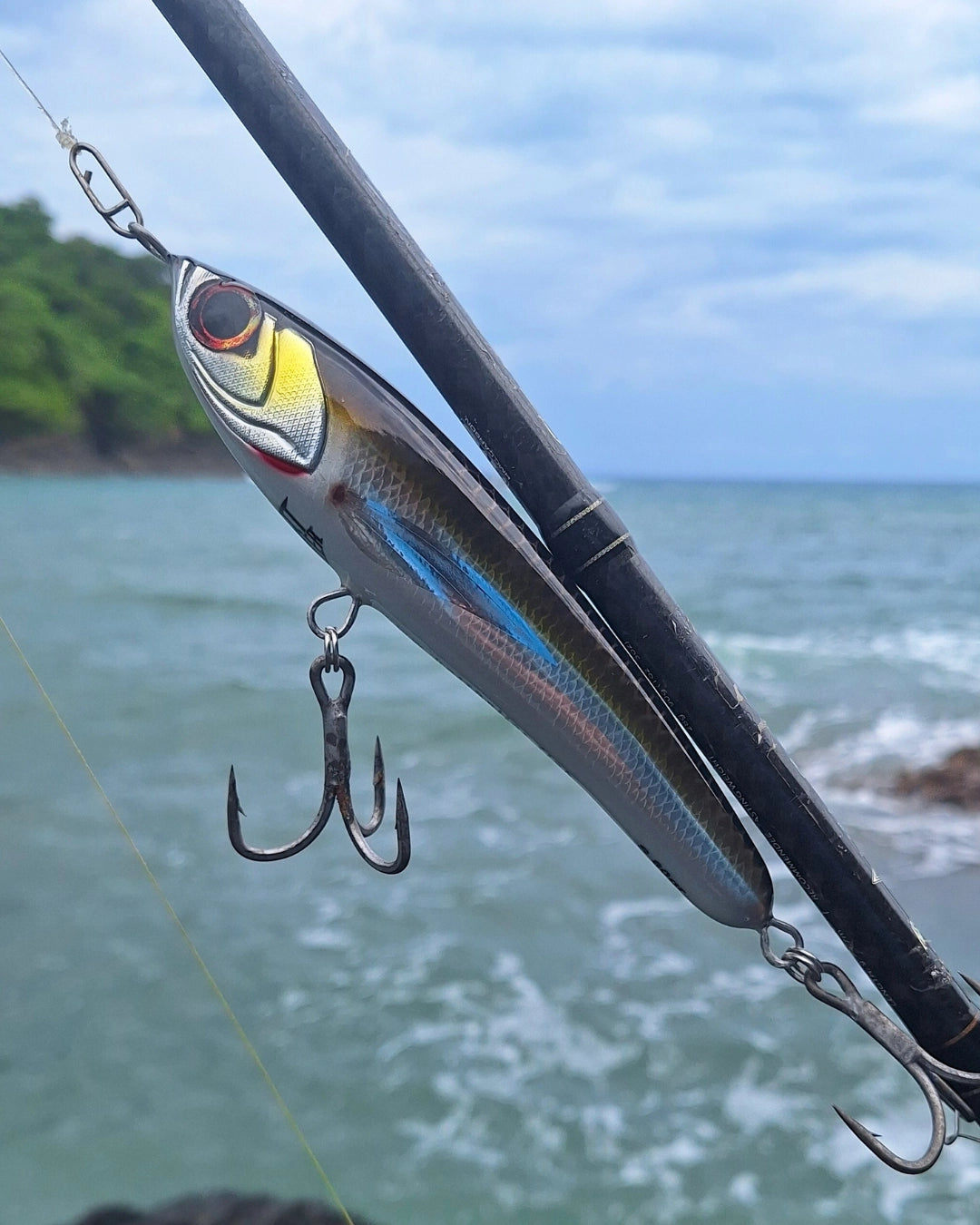 Black and white sinking stickbait ishing lure at the beach.