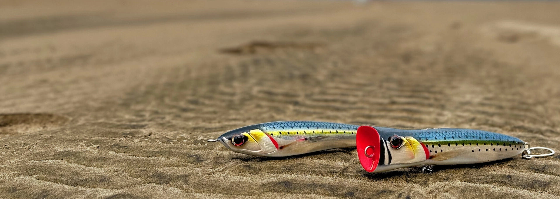 2 hand crafted fishing lures on the beach, 1 surface popper and 1 stickbait, in mackrel colorway.