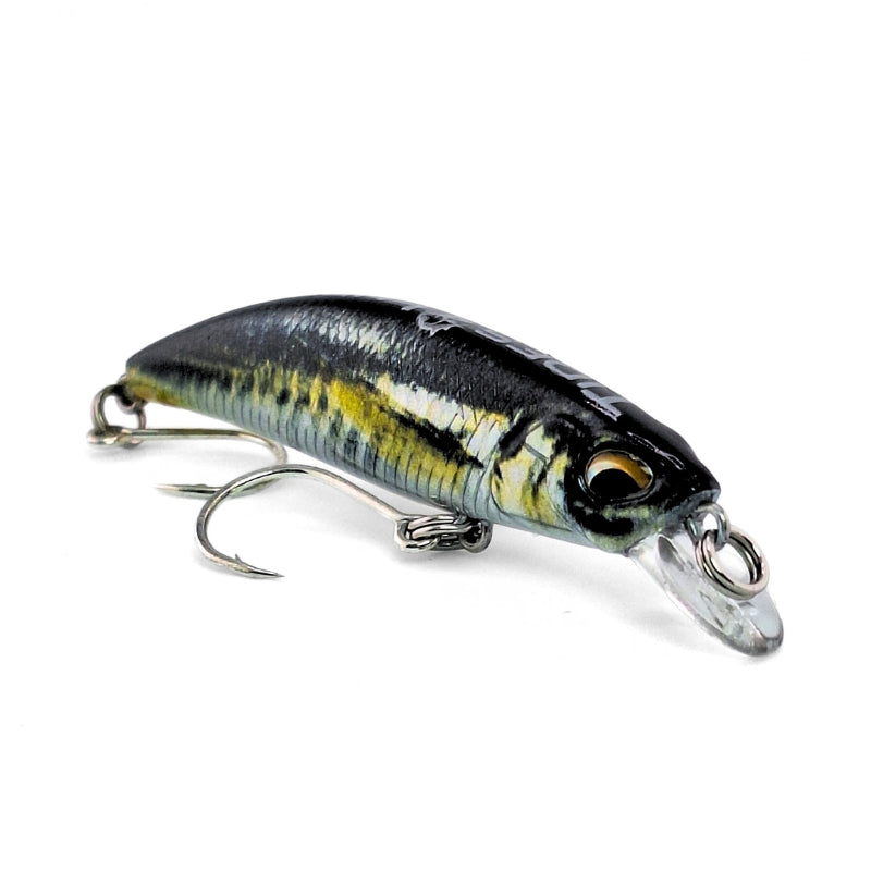 Minnow | Reef Runner | Ti Macro - baitballerfish