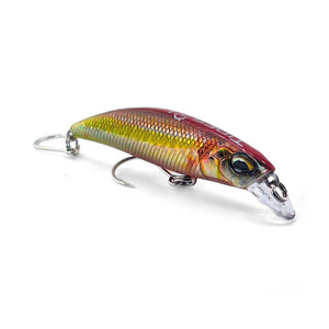 Minnow | Reef Runner | Ti Rouz - baitballerfish