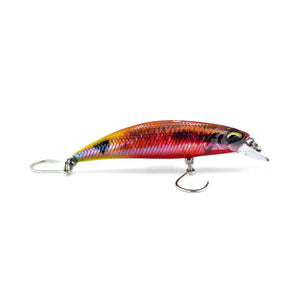 Minnow | Reef Runner | Ti Rouz (Fanal) - baitballerfish